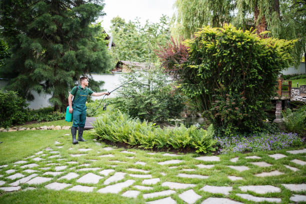 Best Ant Control Services  in Atmore, AL