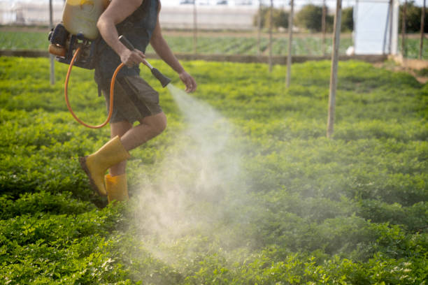 Best Affordable Pest Control Services  in Atmore, AL
