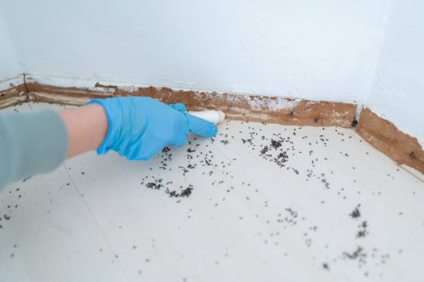 Best Pest Removal Services  in Atmore, AL